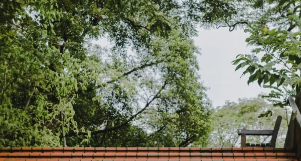 a red tiled roof with trees in the background